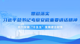 “十五五”發(fā)展建言獻(xiàn)策